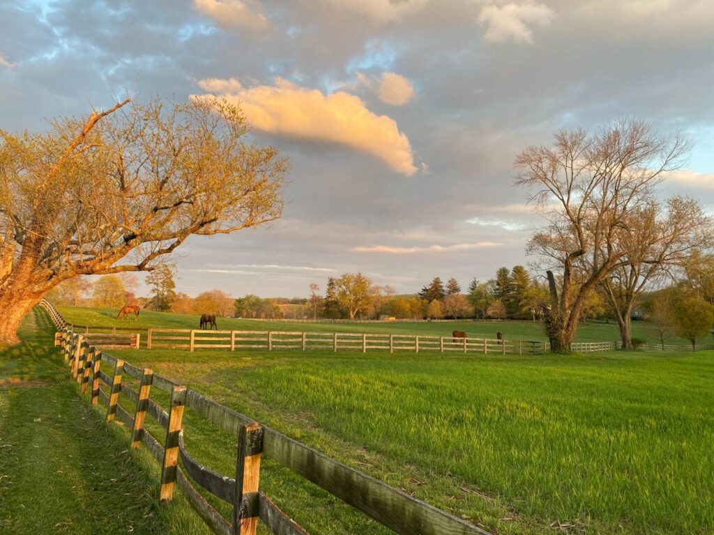 Northern Baltimore Horse Country